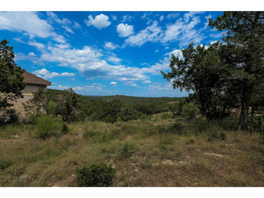 101 RONAY DR S, SPICEWOOD, TX 78669 - Image 1