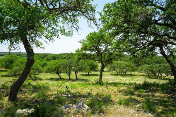 7890 W HIGHWAY 290, DRIPPING SPRINGS, TX 78620 - Image 1