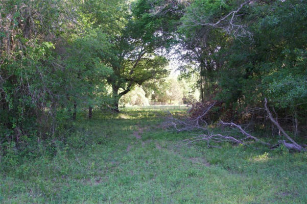 TBD ST DELIGHT RD (TRACT 7), PAIGE, TX 78659, photo 4 of 12
