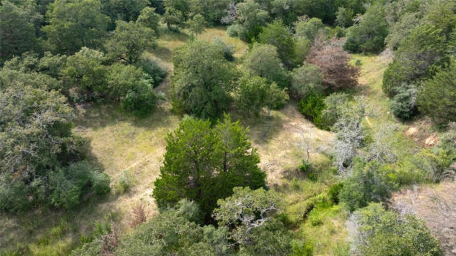 13 ACRES TBD COUNTY ROAD 331, MILANO, TX 76556, photo 3 of 15