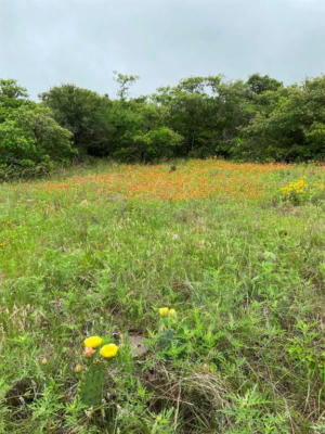 LOT 26 INDIAN SPRINGS CR633, HAMILTON, TX 76565, photo 4 of 12