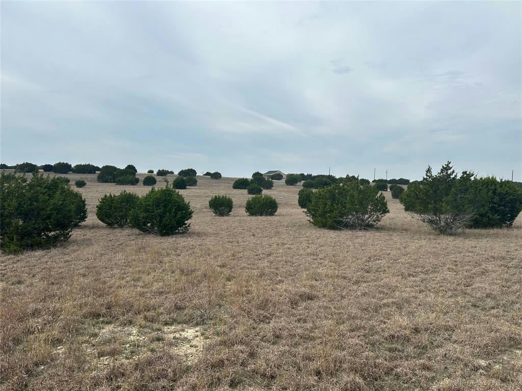 LOT 19 COUNTY ROAD 3640 W/S, COPPERAS COVE, TX 76522, photo 1 of 8