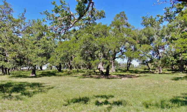 518 WHIRLAWAY, AUSTIN, TX 78737, photo 3 of 25