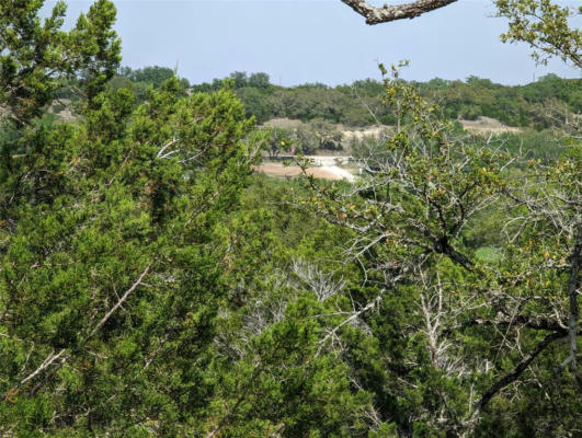 25723 HAMILTON POOL RD, ROUND MOUNTAIN, TX 78663, photo 3 of 16