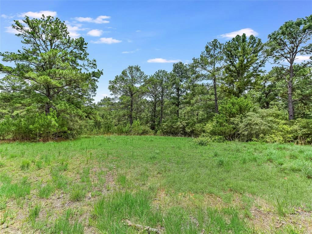 TBD SANDY RD, ROSANKY, TX 78953, photo 1 of 31