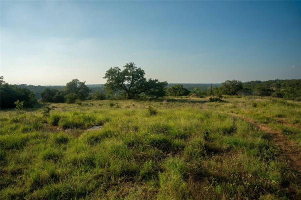 LOT 6 BLUFF SPRINGS DR, DRIFTWOOD, TX 78619 - Image 1