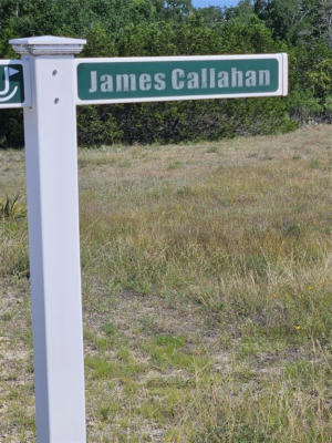103 JAMES CALLAHAN, BLANCO, TX 78606 - Image 1