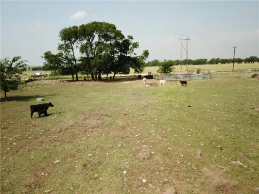 1230 COUNTY ROAD 248, GATESVILLE, TX 76528, photo 3 of 6