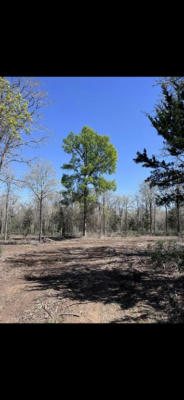 1304 WALLEYE CREEK TRL, LEXINGTON, TX 78947, photo 3 of 9