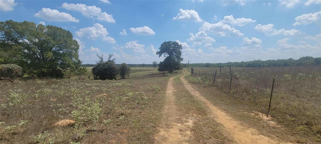 000 COUNTRY ROAD 342, MILANO, TX 76556, photo 1 of 19