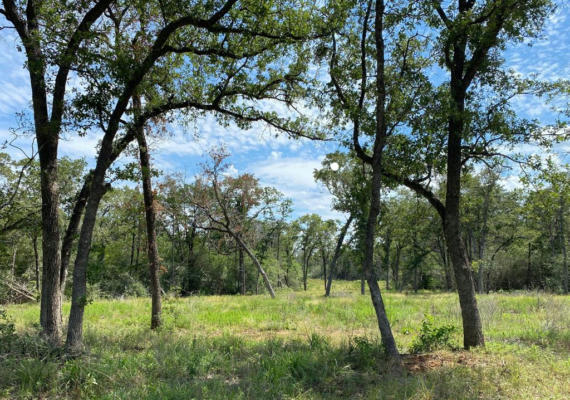 TBD HIGH CROSSING RD - TRACT 8, SMITHVILLE, TX 78957, photo 3 of 13