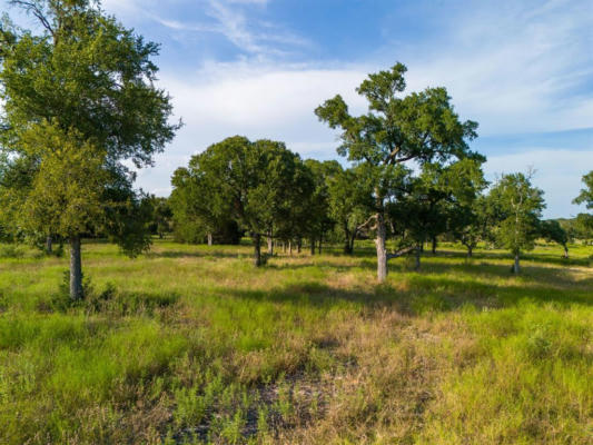 119 PECAN CREEK DR, LAMPASAS, TX 76550, photo 2 of 21