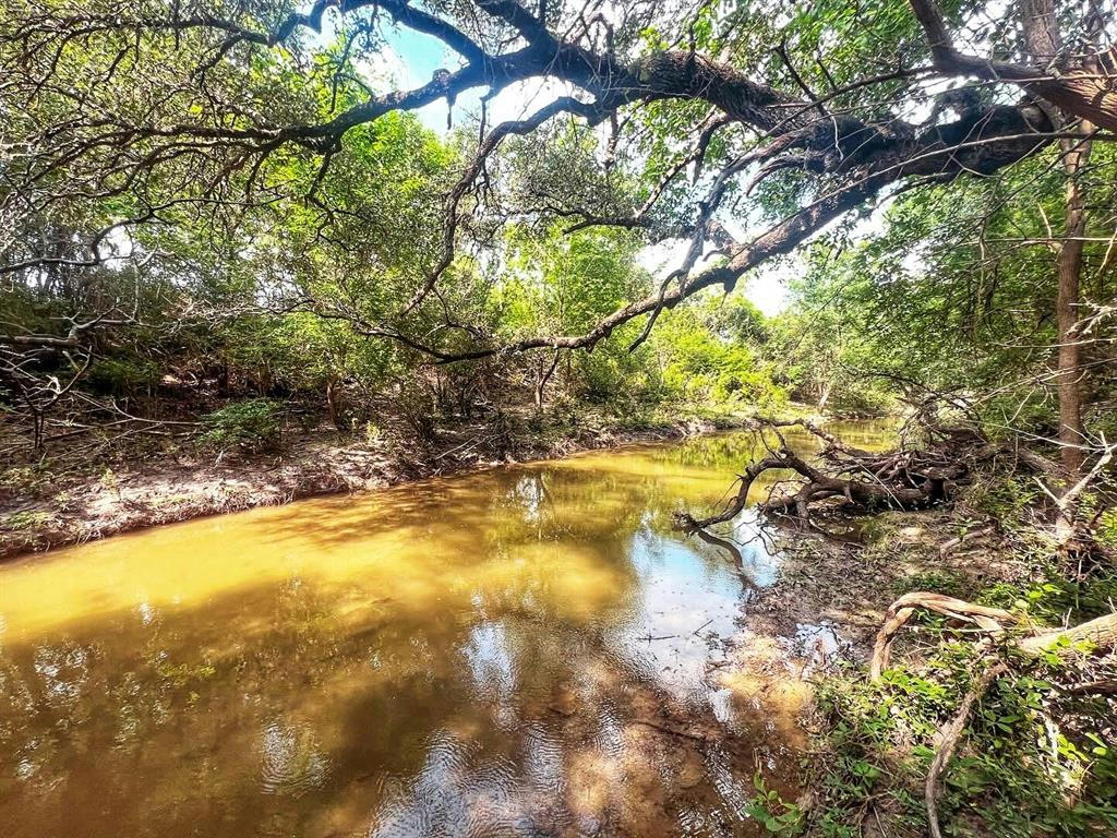 10300 FM 1105, JARRELL, TX 76537, photo 1 of 19