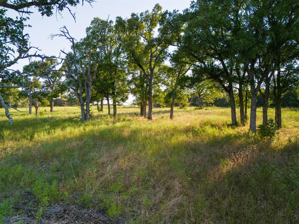 119 PECAN CREEK DR, LAMPASAS, TX 76550, photo 1 of 21