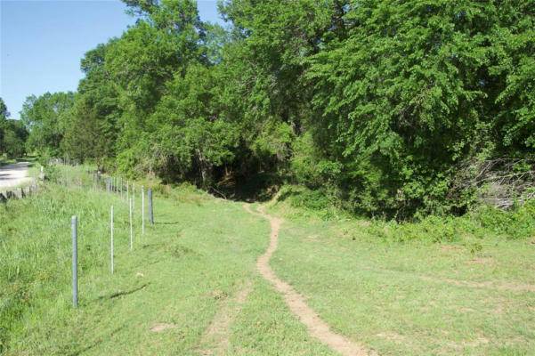 TBD ST DELIGHT RD (TRACT 10), PAIGE, TX 78659, photo 4 of 8