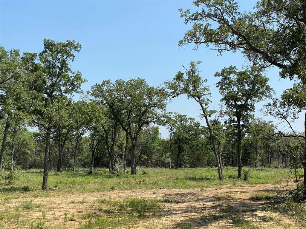 TBD HIGH CROSSING RD - TRACT 7, SMITHVILLE, TX 78957, photo 1 of 13