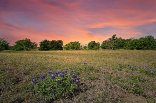 20512 CAMERON RD, COUPLAND, TX 78615, photo 3 of 5