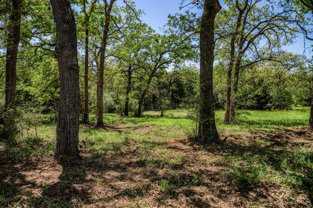 TBD (25.43 ACRES) COUNTY ROAD 436, DIME BOX, TX 77853, photo 1 of 31