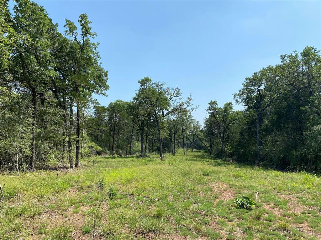 TBD HIGH CROSSING RD - TRACT 8, SMITHVILLE, TX 78957, photo 1 of 13