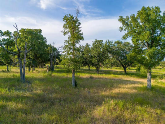 119 PECAN CREEK DR, LAMPASAS, TX 76550, photo 3 of 21