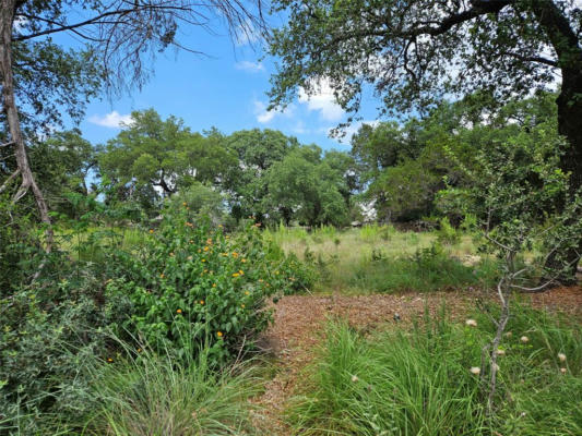 22008 PLOCKTON DR, SPICEWOOD, TX 78669, photo 3 of 6