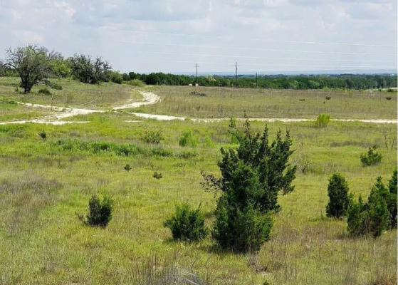 49 COUNTY ROAD 3900, LAMPASAS, TX 76550, photo 5 of 10