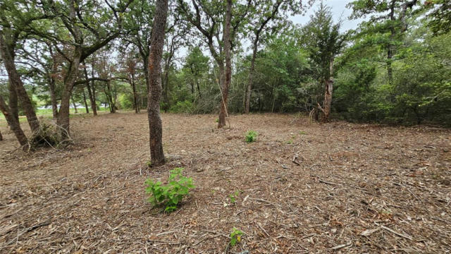2201 COUNTY ROAD 481, THRALL, TX 76578, photo 5 of 9