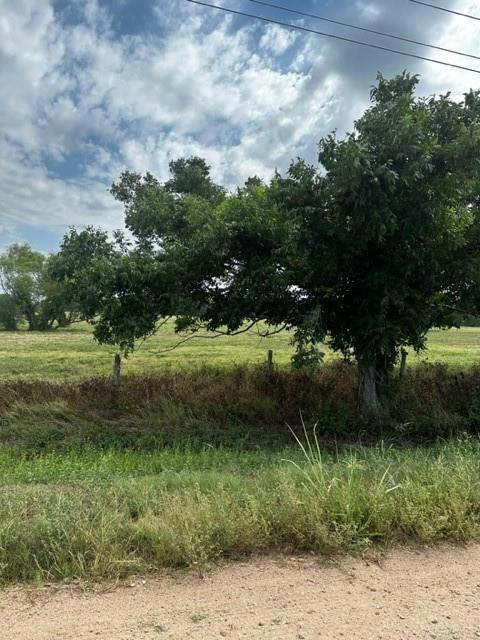TRACT 6 COUNTY ROAD 240, EAST BERNARD, TX 77434, photo 1 of 12