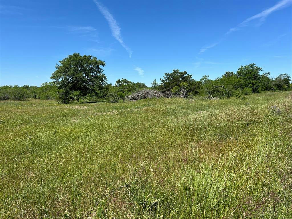 TRACT 4 CR 482, GONZALES, TX 78629, photo 1 of 16