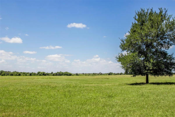 TBD (+/-12.5 ACRES) COUNTY ROAD 318, CALDWELL, TX 77836 - Image 1