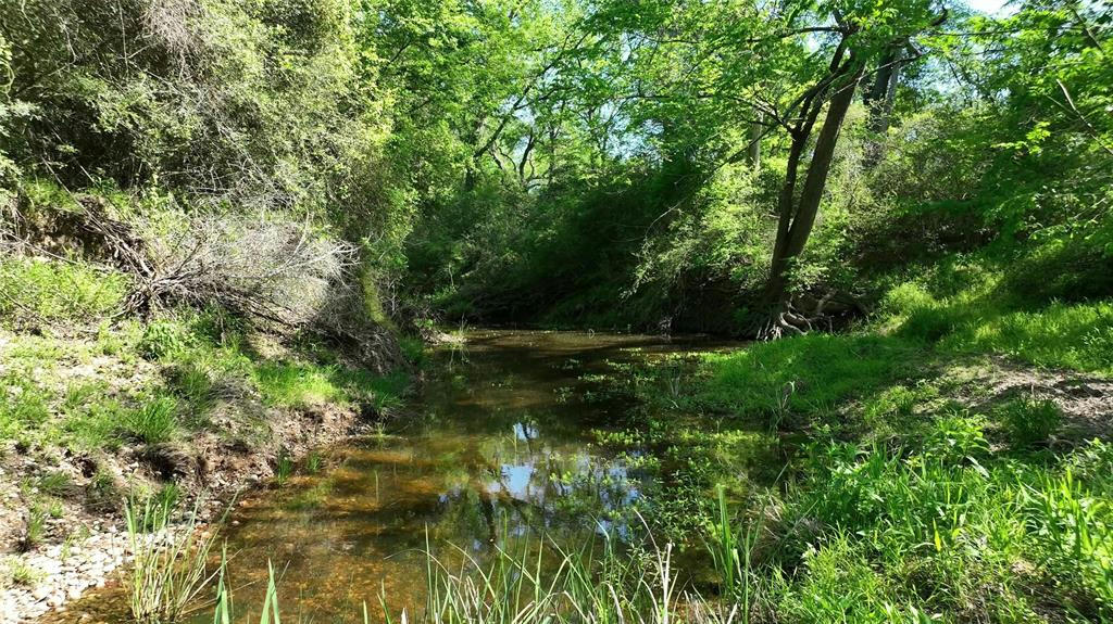 00 COUNTY ROAD 119, LEDBETTER, TX 78946, photo 1 of 37