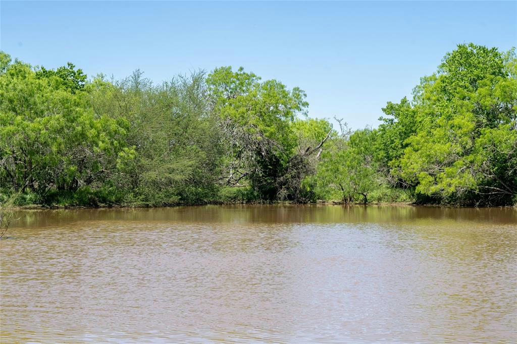 TBD COUNTY RD 171, NIXON, TX 78140, photo 1 of 34