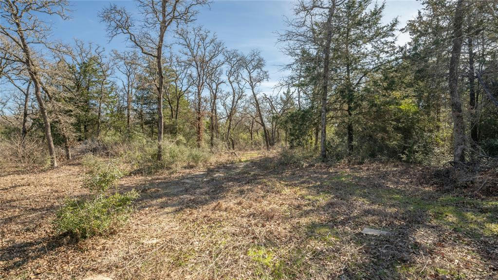 TBD PR 3221, ROCKDALE, TX 76567, photo 1 of 38