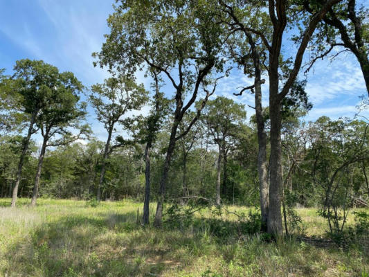 TBD HIGH CROSSING RD - TRACT 8, SMITHVILLE, TX 78957, photo 4 of 13