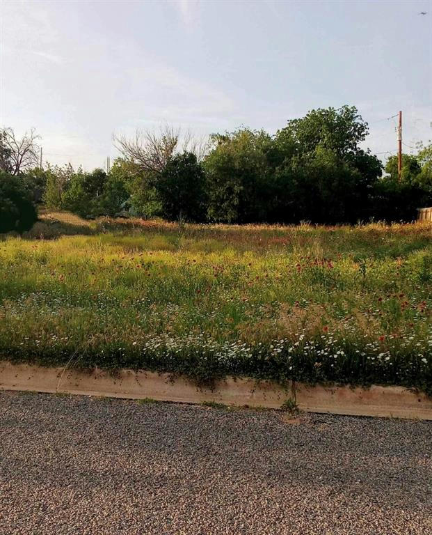 TBD 707 W HOUSTON LOT 14, LLANO, TX 78643, photo 1