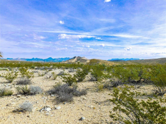 26659 HUNT CAMP RD, TERLINGUA, TX 79852, photo 5 of 9