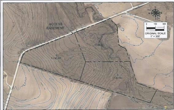 2401 COUNTY ROAD 430, THORNDALE, TX 76577, photo 2 of 19