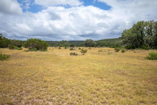 295B FOSSLER RANCH RD W, HUNT, TX 78024, photo 2 of 37