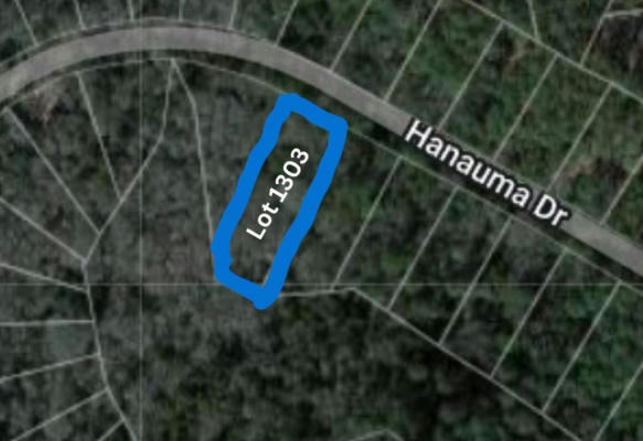 TBD - LOT 1303 HANAUMA DR, BASTROP, TX 78602 - Image 1