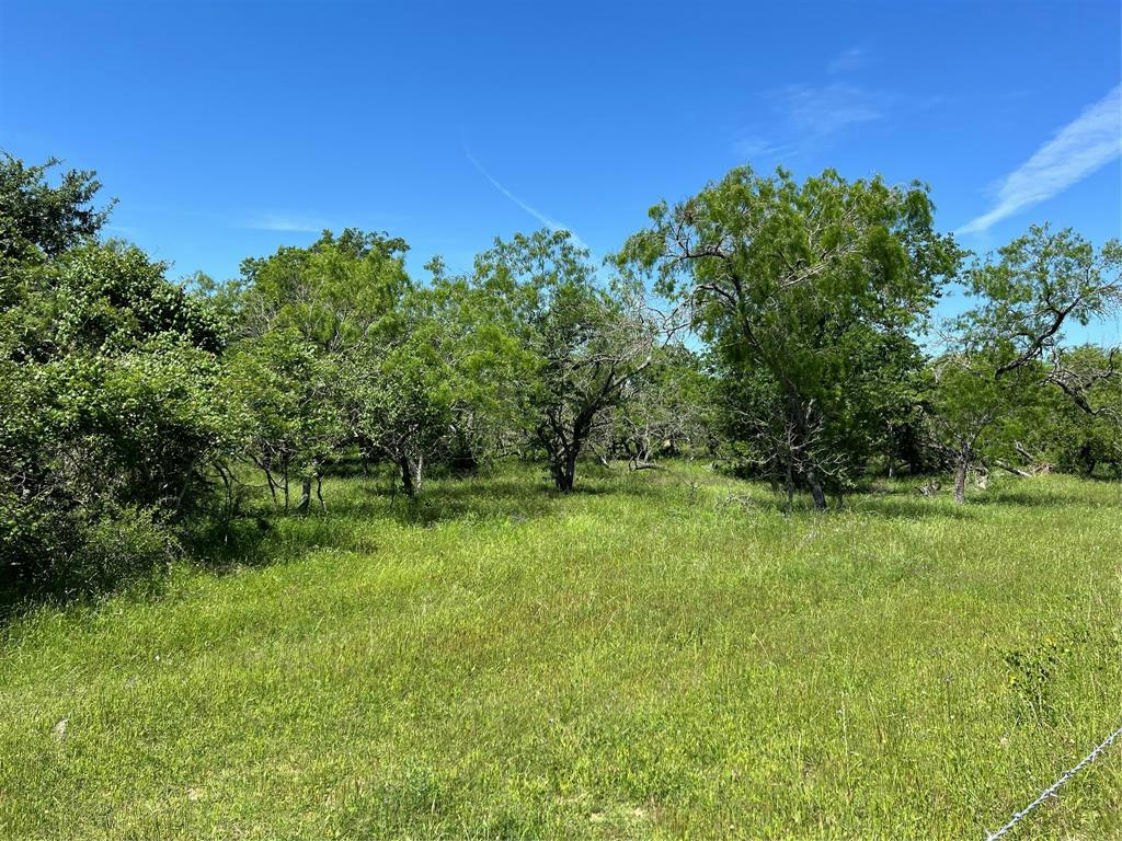 TRACT 6 CR 482, GONZALES, TX 78629, photo 1 of 14