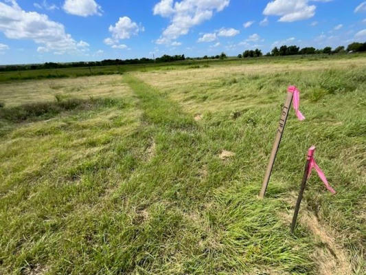 TBD CR 469, LOT 2, COUPLAND, TX 78615, photo 4 of 12