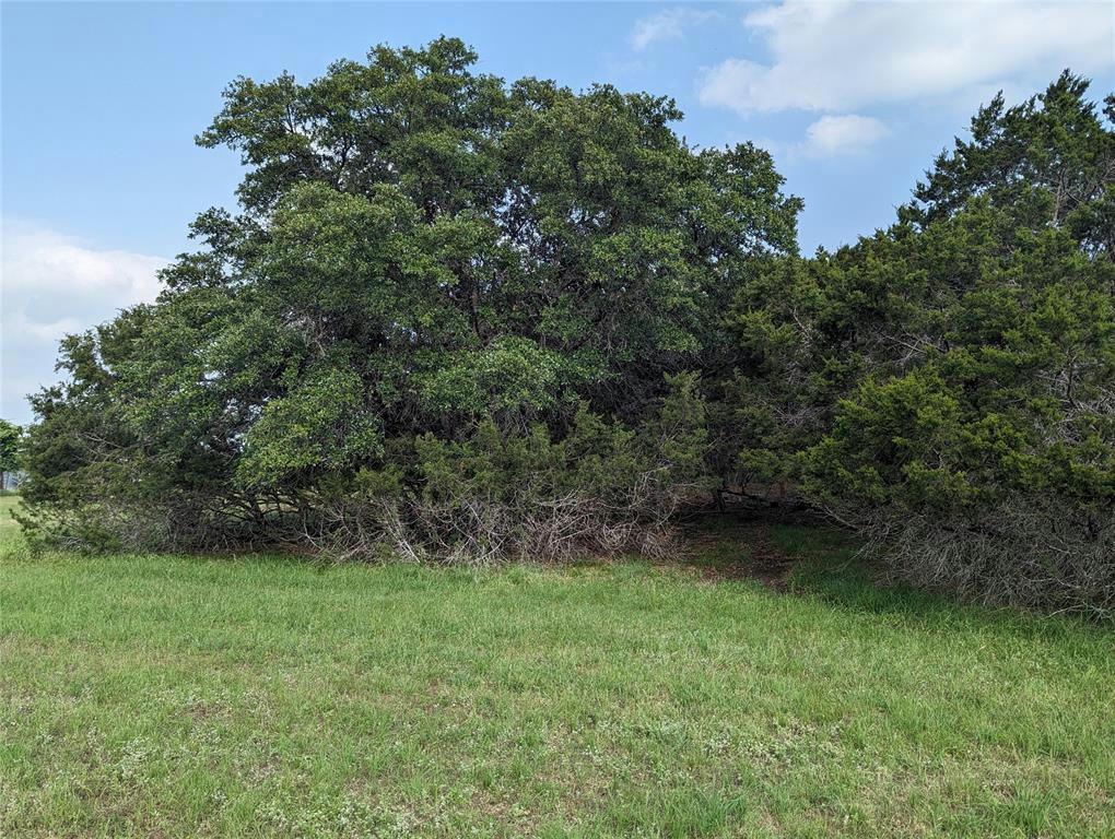 LOT 62 COUNTY ROAD 229, BRIGGS, TX 78608, photo 1 of 10