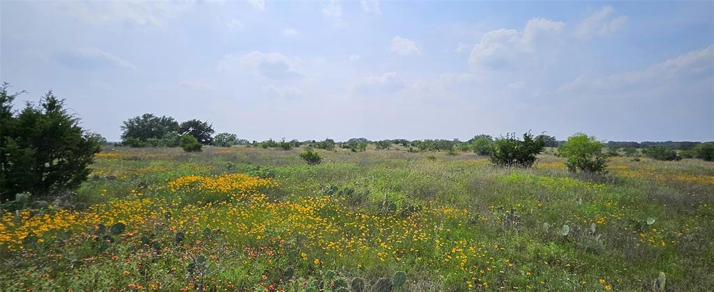 TBD STARKS RD, MASON, TX 76856, photo 1 of 35