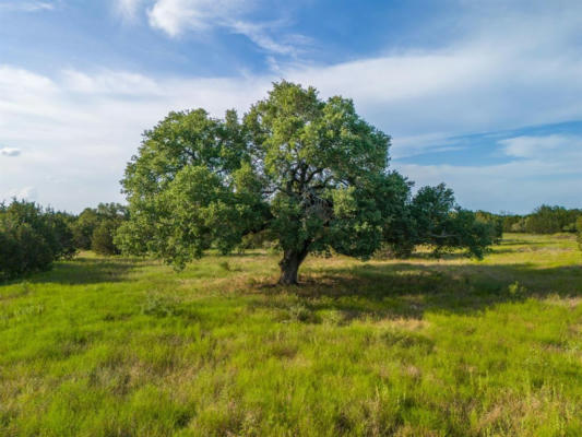 119 PECAN CREEK DR, LAMPASAS, TX 76550, photo 5 of 21