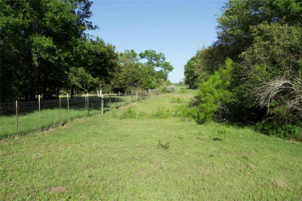 TBD ST DELIGHT RD (TRACT 7), PAIGE, TX 78659, photo 5 of 12
