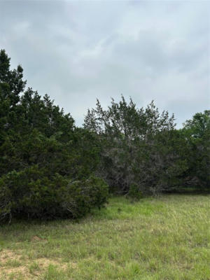 4 QUIET MEADOW CIR, WIMBERLEY, TX 78676, photo 2 of 6