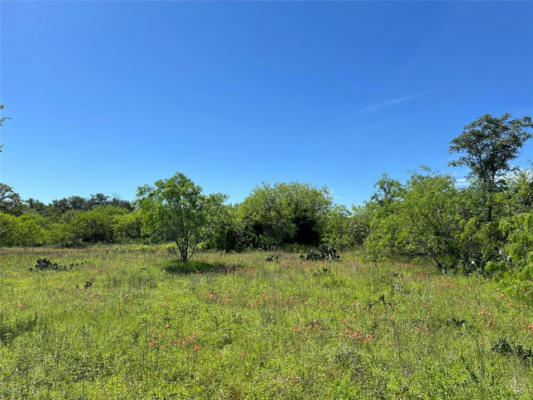 1375 PLANT RD, LULING, TX 78648 - Image 1