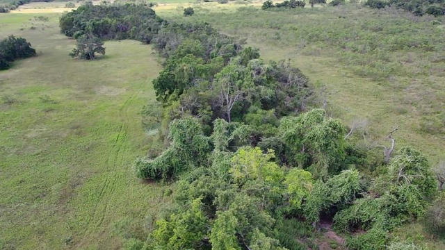 TRACT 5 FM 1323, WILLOW CITY, TX 78675, photo 2 of 19