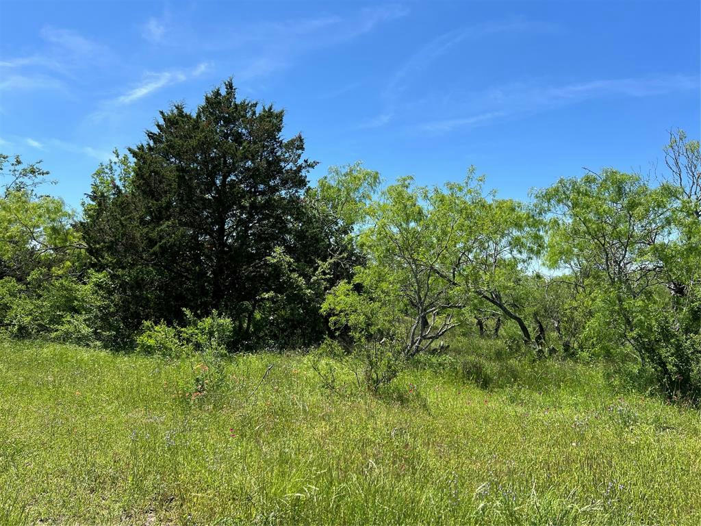 TRACT 3 CR 482, GONZALES, TX 78629, photo 1 of 18