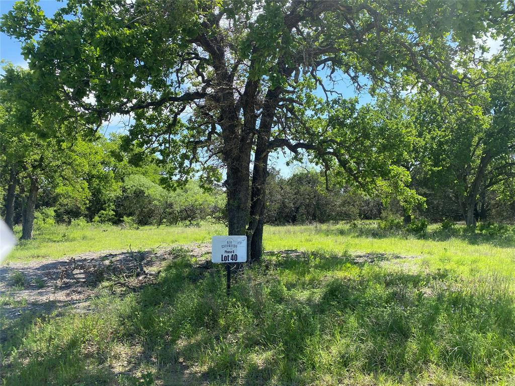 TBD (LOT 40) PRIVATE ROAD 42107, EVANT, TX 76525, photo 1 of 15